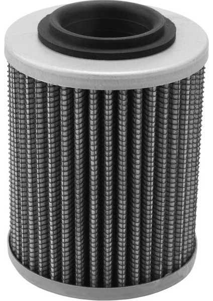 2017 Ski-Doo Expedition Le Se Sport Için 420956124 Yağ Filtresi (Yurt Dışından) fiyatları