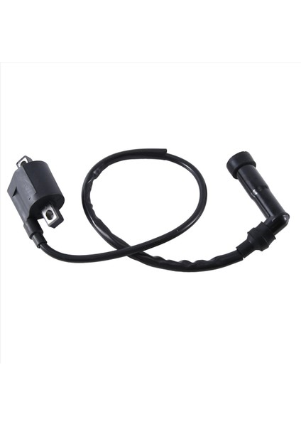 Yamaha YFM350X/660R Için Yüksek Voltajlı Ateşleme Bobini Otomatik Malzemeleri (Yurt Dışından)