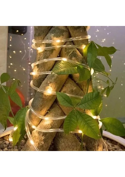 10M 100 LED Solar LED Işık (Gün Işığı, Şeffaf Kablolu) indirimleri