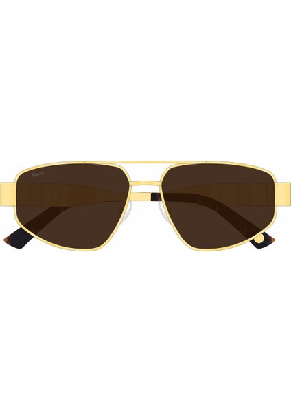 F1038COL02 Kadın Güneş Gözlüğü