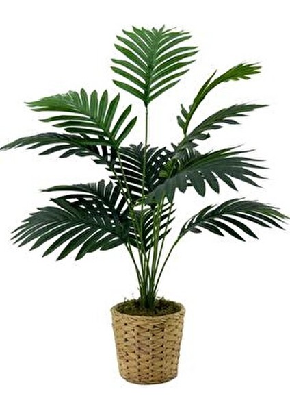 Areka Palmiyesi 75 cm Hasır Saksıda Gerçekçi Görünüm Sunan Yapay Bitki indirimleri