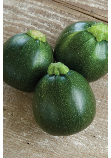 100 Adet Tohum Dolmalık Nadir Topak Kabak Tohumu Kabak Tohumu Topak Kabak Tohumu Hediye Tohumludur