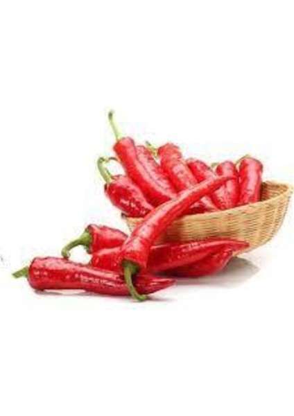 50 Adet Tohum Hafif Acı Kırmızı Etli Biber Tohumu Organik Bahçe Tohum Saksı Toprak Hediyemiz