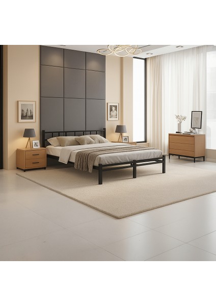 Titan Çift Kişilik Metal Karyola 160 x 200 Siyah fiyatları