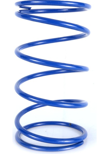 Vespa Gt-Gts 125-310 Tork Yayı (243.077) / Polını