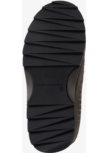 Australia Sharky Adventure Scuff Kadın Gri TERLIK.21047