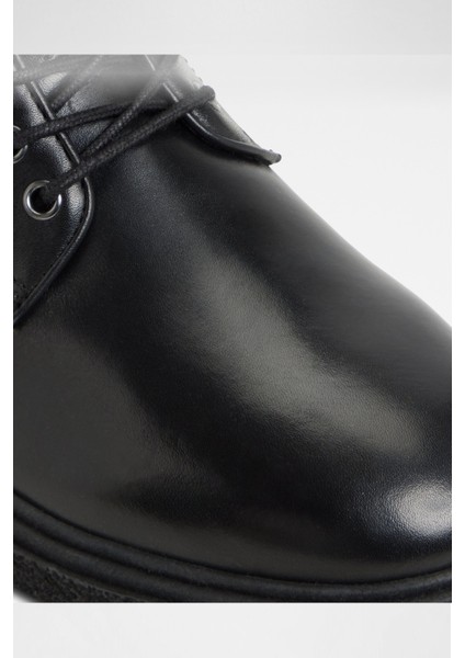 Waltonn Bot Günlük Bot - Siyah