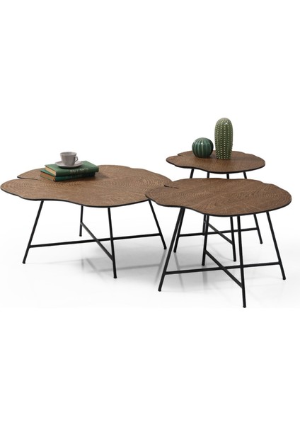 Shine Ceviz Orta Sehpa