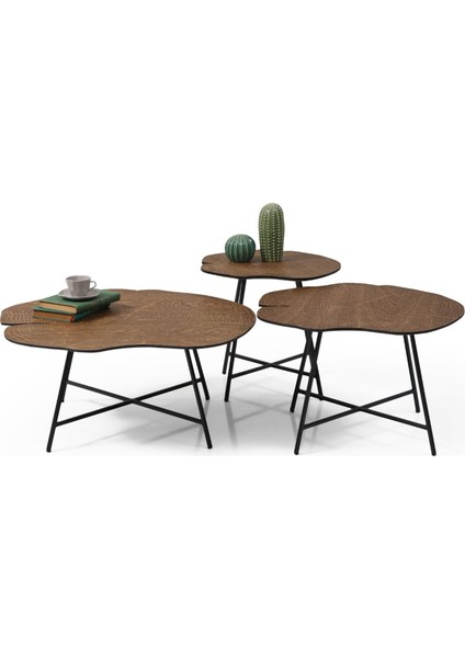 Shine Ceviz Orta Sehpa fiyatları