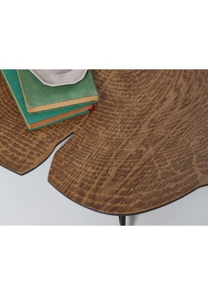 Shine Ceviz Orta Sehpa modelleri