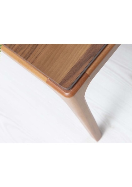 Monna Ceviz Orta Sehpa fiyatları