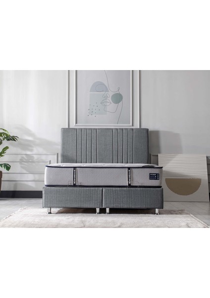 Biella Başlık Gri 90 cm