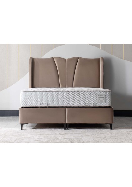 Festa Başlık Vizon 90 cm fiyatları