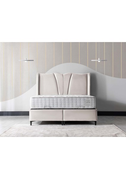 Festa Başlık Krem 90 cm fiyatları