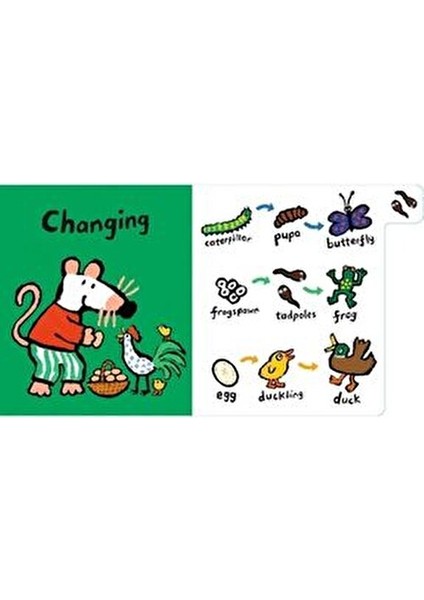 Maisy S Science Lucy Cousins Yazılı Eğitici Kitap 10 Sayfa Ciltsiz modelleri