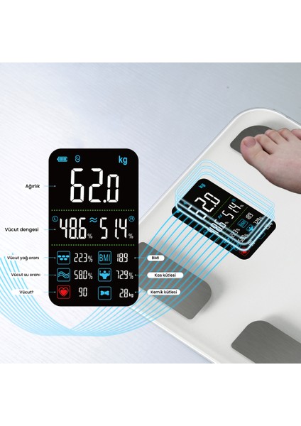 Activescale FG1914 Dijital Baskül Yağ Su Kas Vücut Kitle Endeksi Kilo ölçer tartı fırsatları