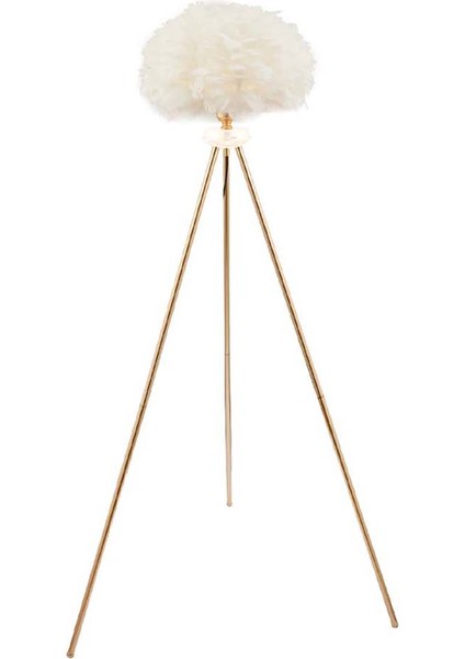 Grasso Lambader Gold