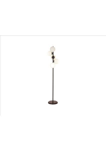 Molly 5'li Lambader Siyah