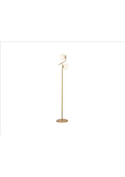 Natali Lambader Bronz