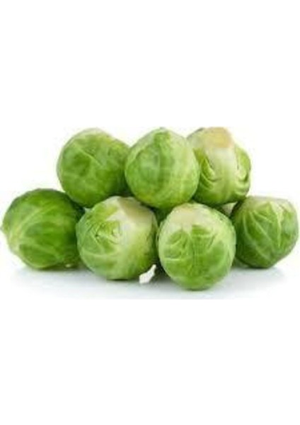 50 Adet Tohum Yerli Bürüksel Lahana Tohumu Süpriz Hediye Tohum Brüksel Lahanası Lahana