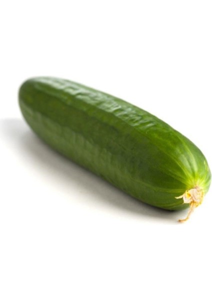 Bol Verimli Erkenci Badem Salatalık Tohumu 10 Adet Tohum fiyatları