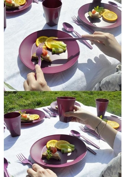 Çantalı Piknik Seti Mürdüm 30 Parça fiyatları