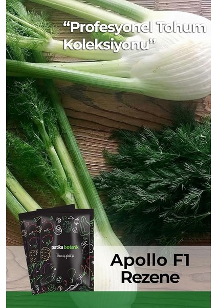 Botanik 50 Adet A*pollo Rezene Tohumu