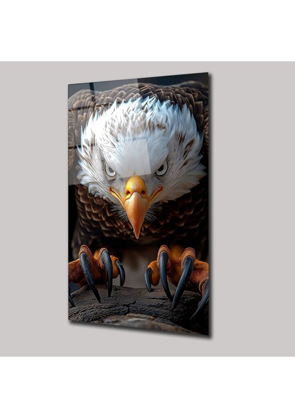 Kara Kartal - Cam Tablo - DEG0301