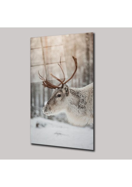 Ren Geyiği - Cam Tablo - DEG0272