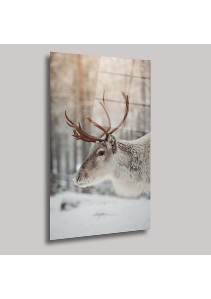 Ren Geyiği - Cam Tablo - DEG0272 fiyatları