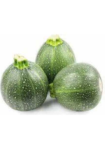 30 Adet Tohum Süper Paket Dolmalık Nadir Topak Kabak Tohumu Yuvarlak Kabak Tohumu Yeşil Kabak