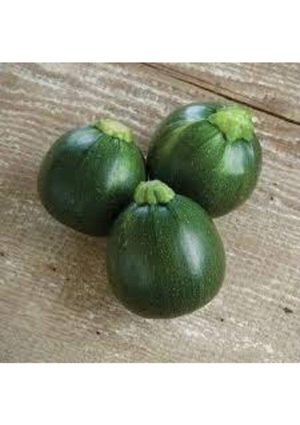 30 Adet Tohum Süper Paket Dolmalık Nadir Topak Kabak Tohumu Yuvarlak Kabak Tohumu Yeşil Kabak fiyatları