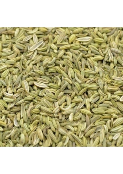 100 Adet Tohum Rezene Çiçeği Tohumu Sarı Rezene Saksı Toprak Hediyemiz