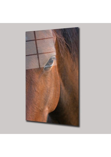Atın Gözleri - Cam Tablo - DEG0176