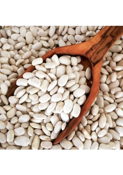 Beyaz Fasulye Tohumu Kuru Fasulye Tohumu 50 Adet Tohum fiyatları