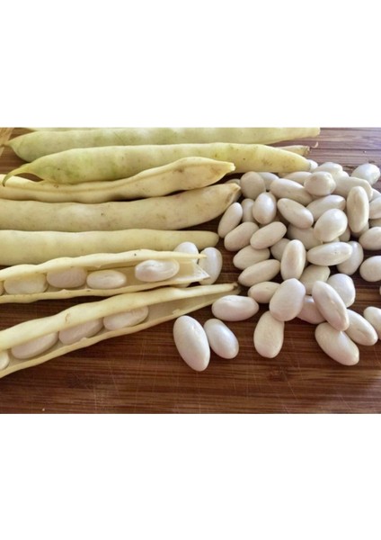 Beyaz Fasulye Tohumu Kuru Fasulye Tohumu 50 Adet Tohum modelleri