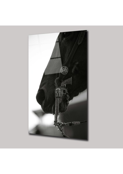 Cevval - Cam Tablo - DEG0055