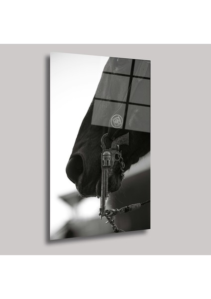 Cevval - Cam Tablo - DEG0055 fiyatları