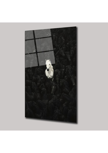 Beyaz Asalet - Cam Tablo - DEG0099