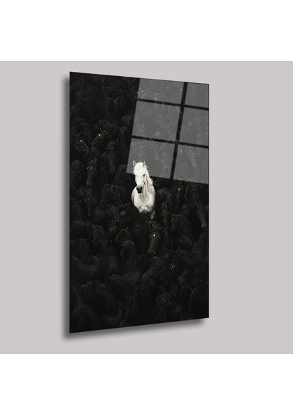 Beyaz Asalet - Cam Tablo - DEG0099 fiyatları