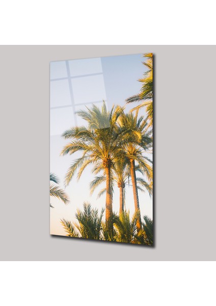Palmiyeler - Cam Tablo - DEG0266