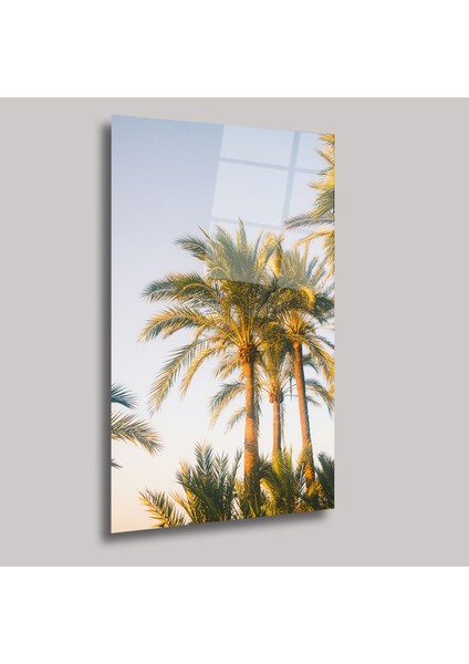 Palmiyeler - Cam Tablo - DEG0266 fiyatları