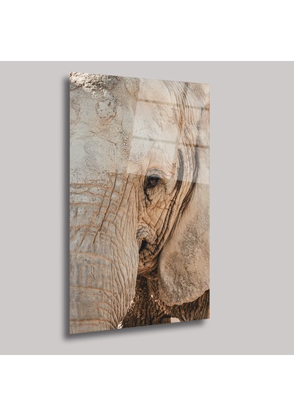 Yaşlı Fil - Cam Tablo - DEG0010