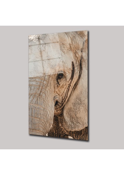 Yaşlı Fil - Cam Tablo - DEG0010 fiyatları