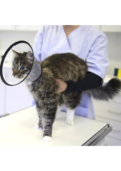 Şeffaf Elizabeth Yakalık Köpek Boyunluk 40 cm modelleri