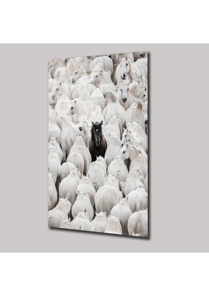 Siyah Asalet - Cam Tablo - DEG0100