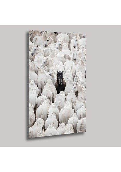 Siyah Asalet - Cam Tablo - DEG0100 fiyatları