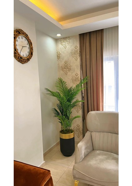 Siyah Gold Darbuka Saksıda Tusem Areka -160 cm fiyatları