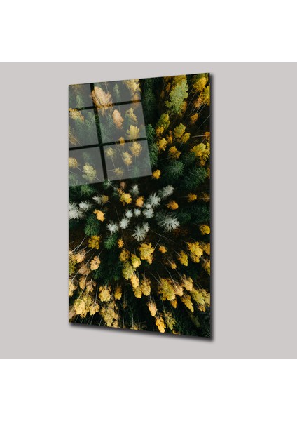 Ormanın Rengi - Cam Tablo - DEG0082