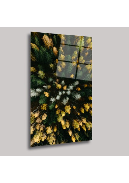 Ormanın Rengi - Cam Tablo - DEG0082 fiyatları